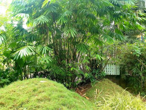 Amritham Holidays Homestay Trivandrumにある庭