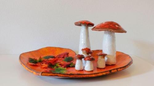 a group of mushrooms sitting on top of a plate at Haus Alpenglück in Kaunertal