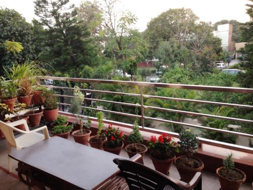 a balcony with a table and potted plants at Luxurious Homestay- Chandīgarh in Chandīgarh