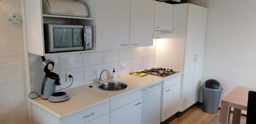 een witte keuken met een spoelbak en een magnetron bij vakantiebungalow in Simpelveld
