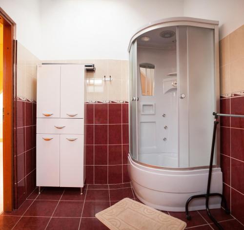 baño con ducha y armario blanco en Premier Apartment, en Satu Mare
