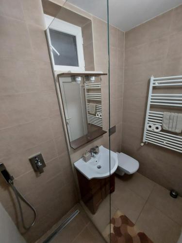 a bathroom with a sink and a glass shower at Iosia Premium Apartment in Oradea