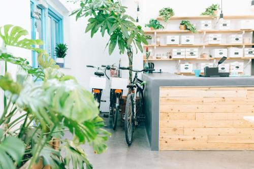 a bike parked next to a counter with plants at Cantagua Hostel in Valencia