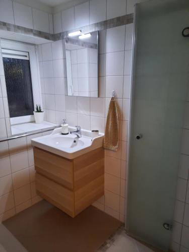 y baño con lavabo, espejo y ducha. en Kleines Zuhause en Magdeburgo