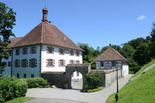 a large white building with a brown roof at Schloss Freudenfels in Eschenz