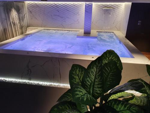 basen wodny z rośliną przed nim w obiekcie Valentino Resort w mieście Grottammare