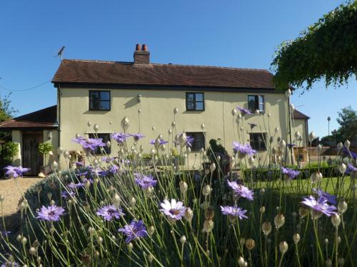 The building where the bed & breakfast is located 