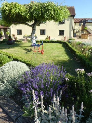 A garden outside Box Bush Bed & Breakfast and Holiday Cottage 