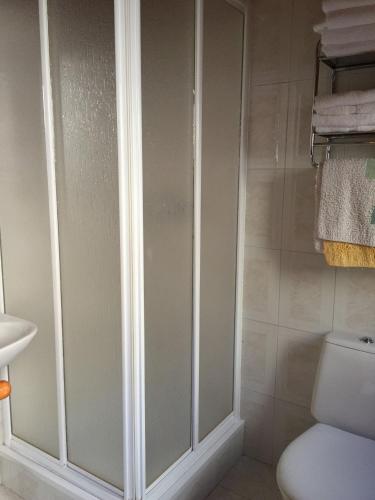 a bathroom with a toilet and a shower with glass doors at Bungalow 1 - Playa Arnela in Carballo
