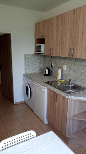 a kitchen with a sink and a washing machine at Apartmány Karviná in Karviná