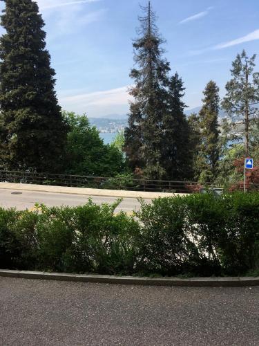Charming Castagnola