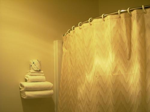 La salle de bains est pourvue d'une douche et de serviettes. dans l'établissement Sandhills Guest House Motel, à Atkinson
