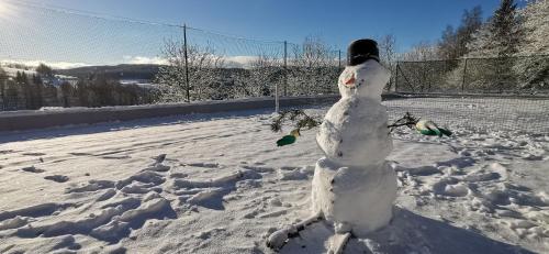 a snowman is standing in the snow at hotel ZLATÝ POTOK in Nicov