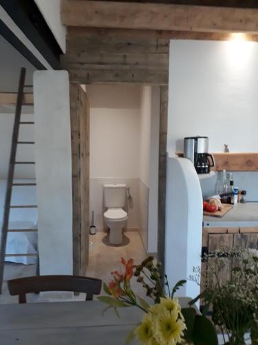 bagno con servizi igienici e cucina. di La Petite Maison Dans Les Vignes a Chamaret