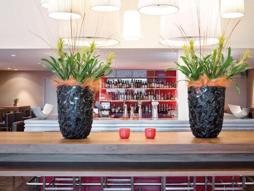 deux vases noirs avec des plantes sur une barre dans l'établissement Mövenpick Hotel Amsterdam City Centre, à Amsterdam