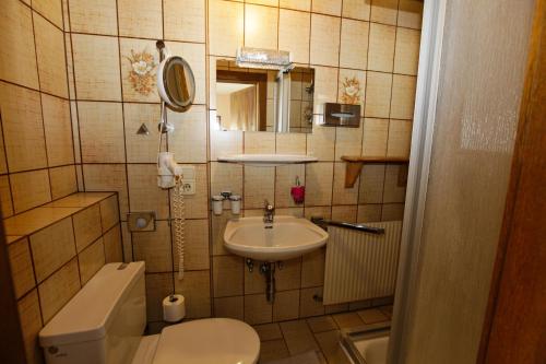 a small bathroom with a toilet and a sink at Panorama-Ferienhaus im Stubaital in Mieders