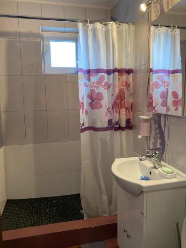 a bathroom with a shower curtain and a sink at 19 RESIDENCE apartment in Cavnic