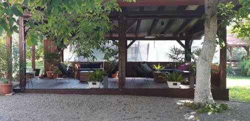 Κήπος έξω από το Apartments Woodnotes