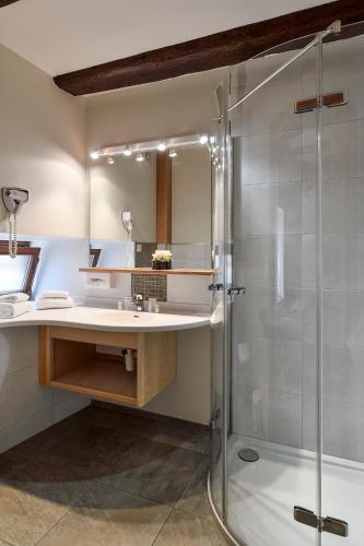 a bathroom with a shower and a sink at Hostellerie Schwendi in Kientzheim