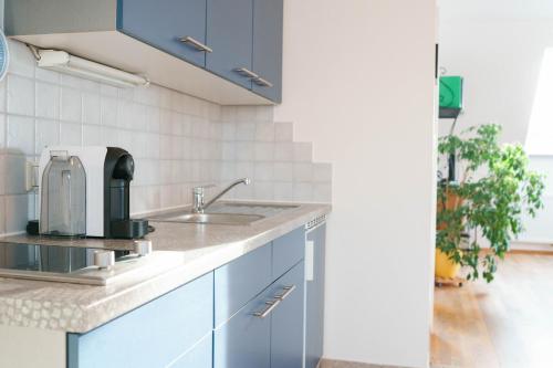 a kitchen with a sink and blue cabinets at Weingut Leopold Dietrich in Gamlitz