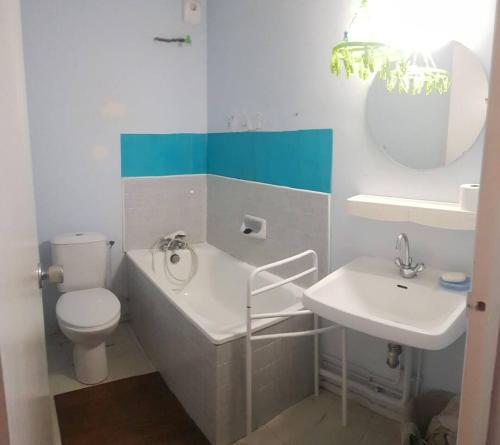 une salle de bain avec un lavabo, des toilettes et un miroir dans l'établissement bel appartement du sancy, à Le Mont-Dore