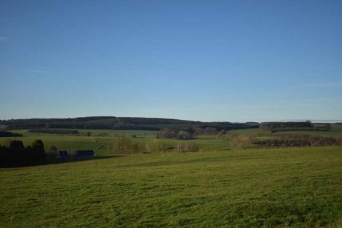a field of green grass with the sky in the background at Gîte du cheval blanc in Sainte-Ode