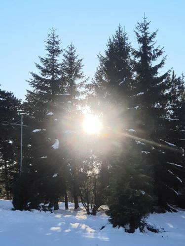 a sun shining through some trees in the snow at Kuća 1A, Kaluđerske Bare, Tara in Mala Reka