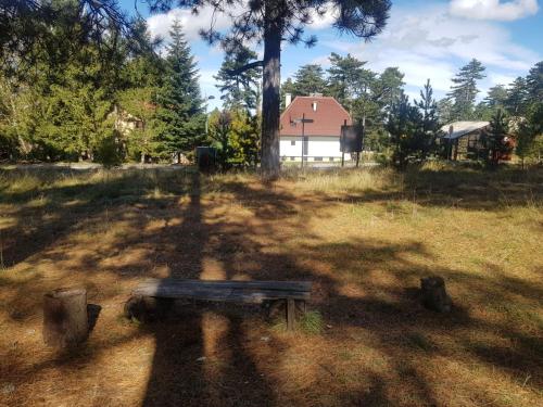 a bench in a field with a tree and a house at Kuća 1A, Kaluđerske Bare, Tara in Mala Reka