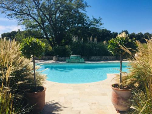 a swimming pool in a yard with potted plants at Lamamotte Gite Holiday Home in Pinel-Hauterive