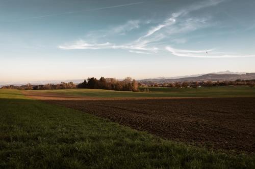 a field of grass with the sun in the background at Macardo Premium B&B in Bissegg