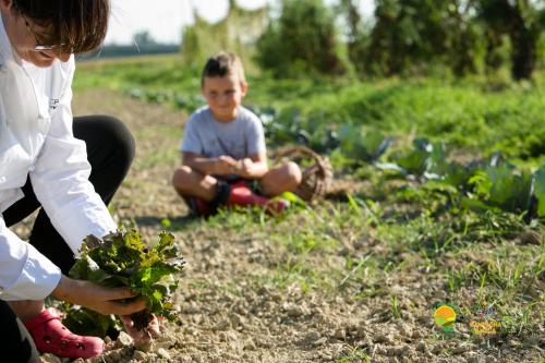 a woman holding a plant in a field with a boy at Agriturismo Ai Carpini in Marcon