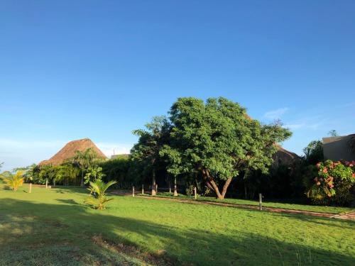 a grassy field with trees and some huts at Territorio Magico Dibulla in Dibulla