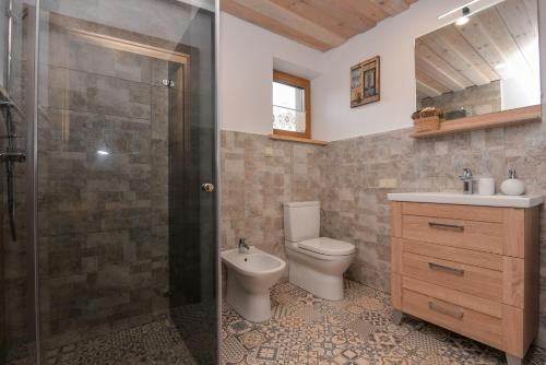 a bathroom with a toilet and a shower and a sink at Vila LATO, Druskininkai in Latežeris