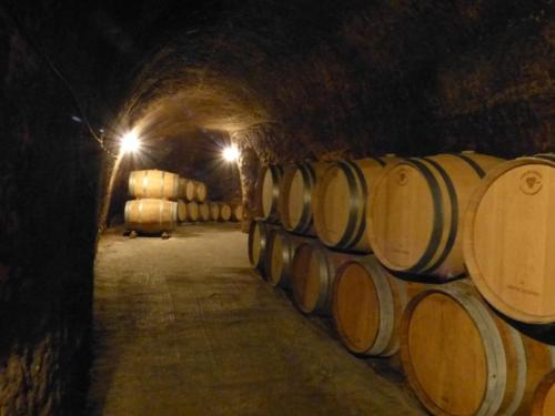 a row of wine barrels in a tunnel at ATICO CAPRICHOS ARANDA in Aranda de Duero