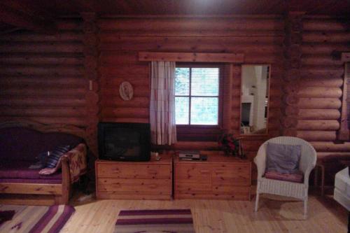 a living room with a tv in a log cabin at Holiday Cabin Kerimaa 121 in Savonlinna