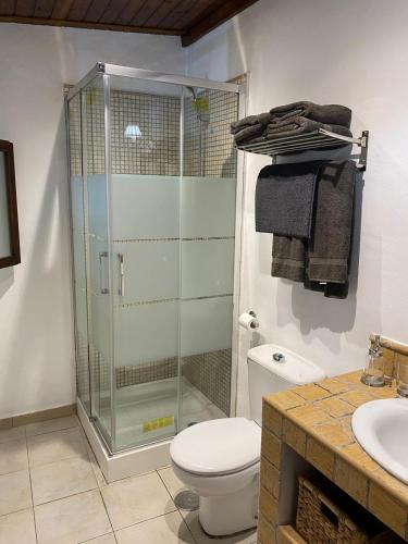 a bathroom with a shower and a toilet and a sink at Old Town House La Laguna in Las Lagunas