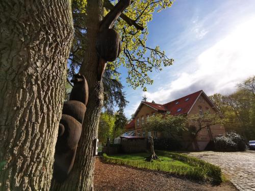 Hotel Schlösschen Sundische Wiese Zingst photo 25