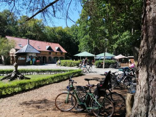 Hotel Schlösschen Sundische Wiese Zingst photo 27