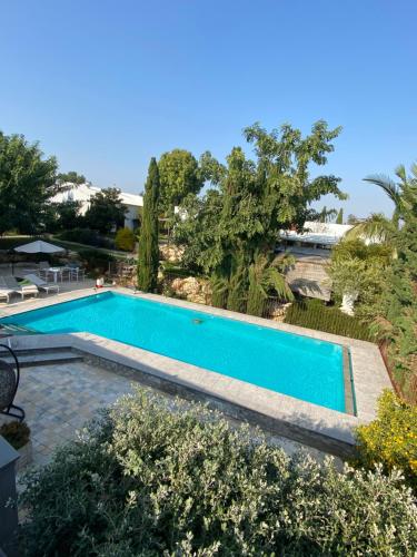 een zwembad in het midden van een tuin bij Felina place by Shuli in Ganne Yoẖanan