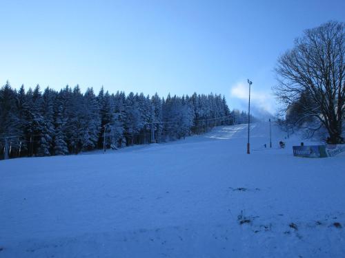 a snow covered field with trees and a light pole at Apartmán u sjezdovky Filipovice in Filipovice