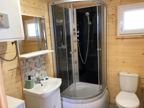 a bathroom with a shower and a toilet and a sink at WAKACYJNE ZAGAJE in Sarbinowo