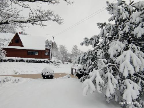 a snow covered tree in front of a cabin at Sodyba Basapėdė in Bijutiškis