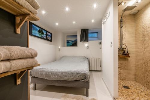 - une petite chambre avec un lit et une douche dans l'établissement la terrasse du lac, à Veyrier-du-Lac