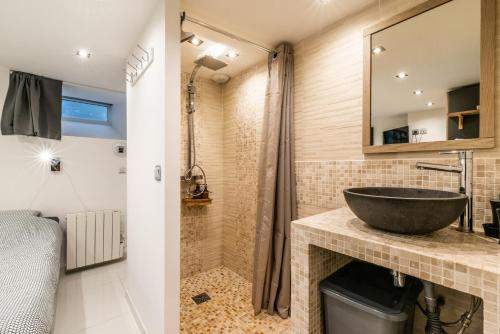 ヴェリエ・デュ・ラックにあるla terrasse du lacの洗面台とシャワー付きのバスルーム