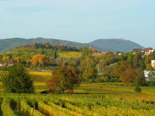 vistas a un campo con árboles y montañas en Le GM Maison de Vacances en Alsace, en Mittelwihr