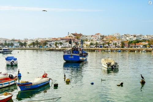 a group of boats in a body of water at Casa Portas de Portugal in Lagos
