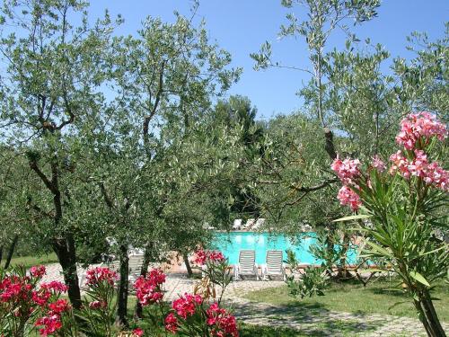 a swimming pool surrounded by trees and flowers at Agriturismo Antico Borgo Poggitazzi in Loro Ciuffenna