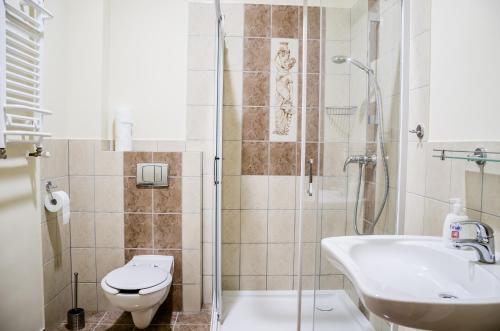 a bathroom with a shower and a toilet and a sink at Dwa Dęby in Lubawka