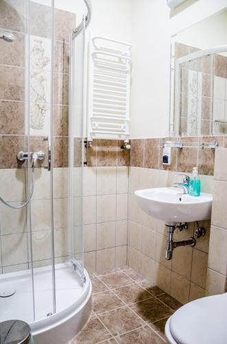 a bathroom with a shower and a sink and a toilet at Dwa Dęby in Lubawka