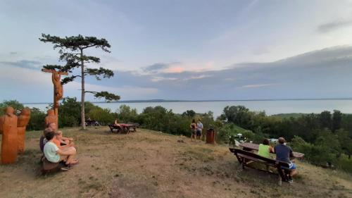 a group of people sitting on benches on a hill at Timbi Vendégház in Vonyarcvashegy